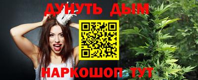 2c-b Камышлов