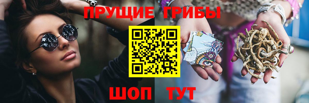 Галлюциногенные грибы мицелий  Псилоцибиновые грибы мицелий  Волоколамск  Вход с VPN 